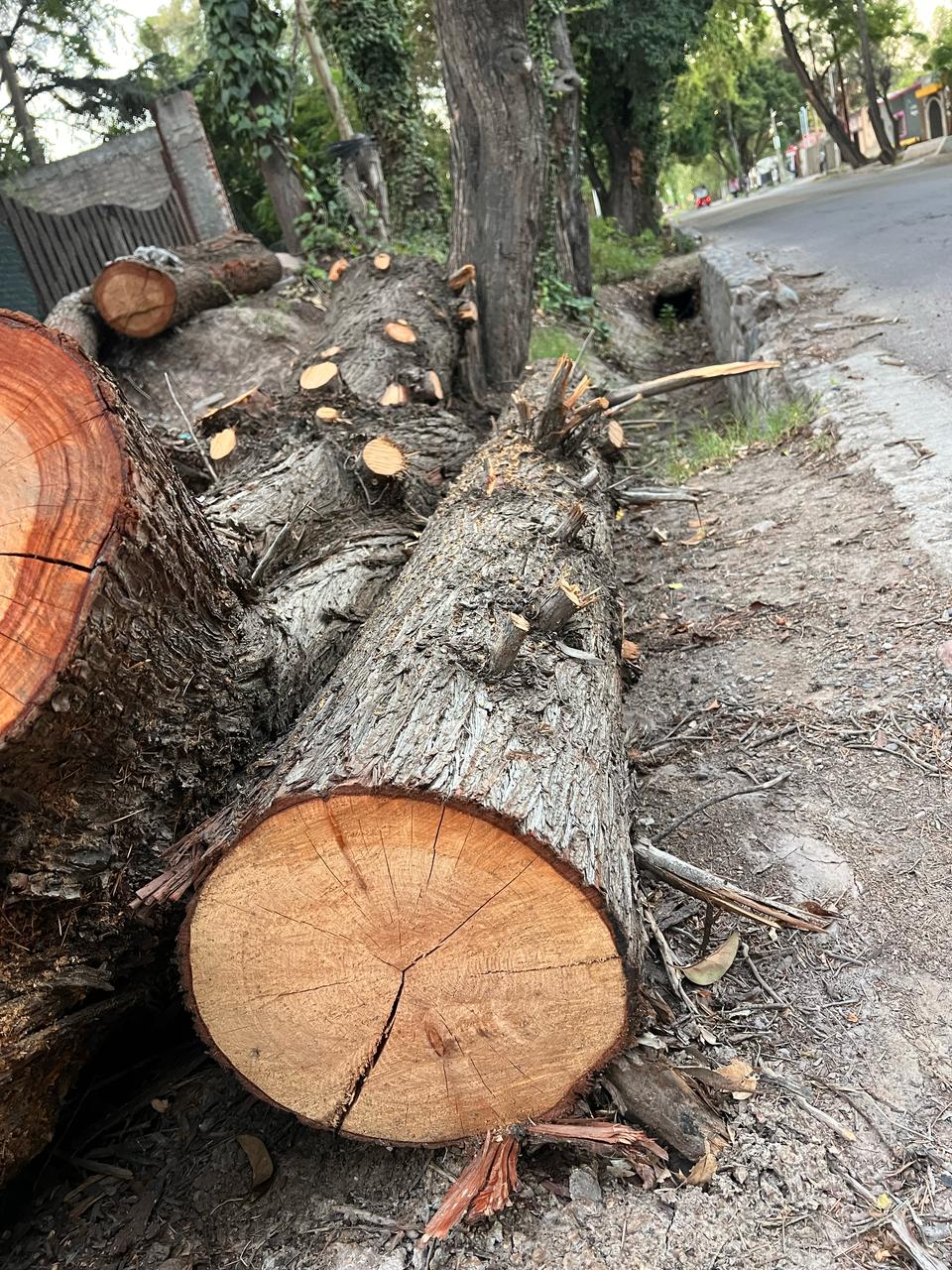 PHOTO-2025-02-15-15-28-34