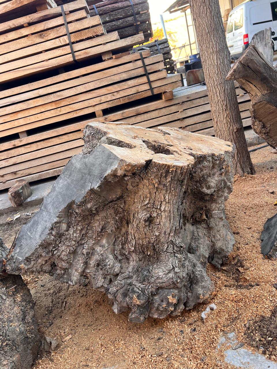 PHOTO-2025-06-05-13-45-10